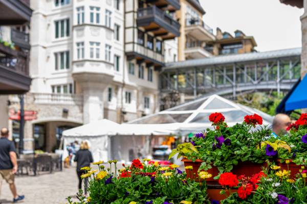 Flowers in Lionshead Village