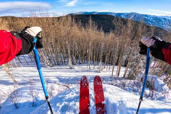 Skier overlooking the mountain