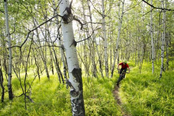 mountain biking in vail