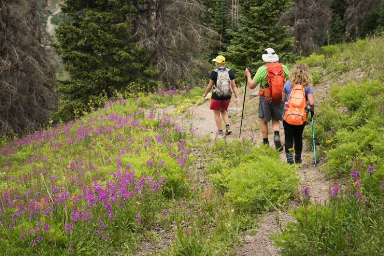 A family hiking near Vail, Colorado