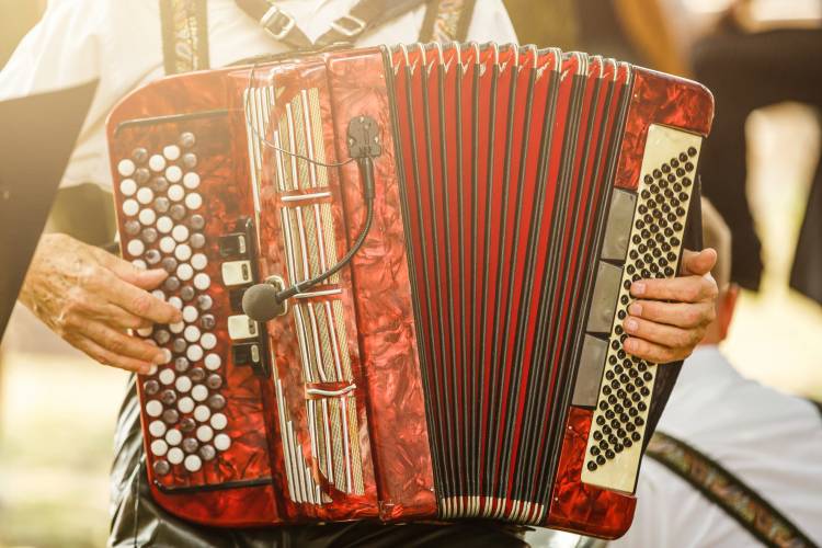 Male playing on the accordion against a grunge background