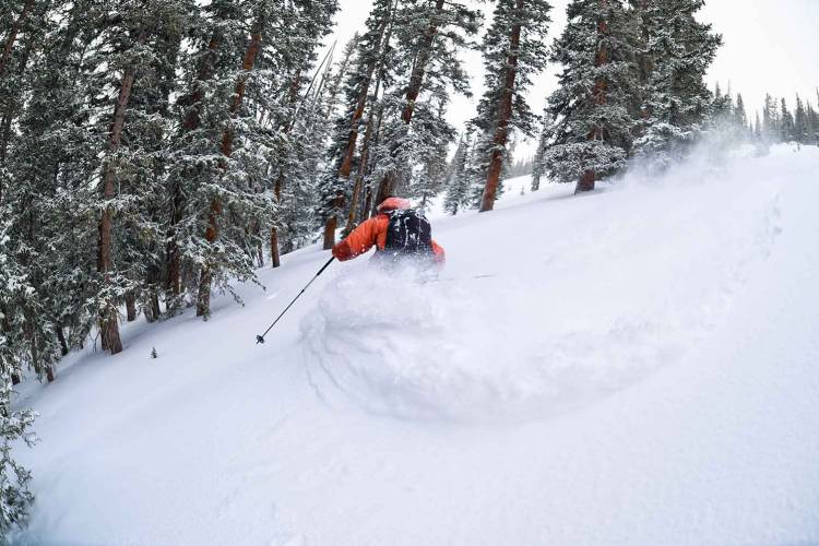 Skier hitting fresh powder