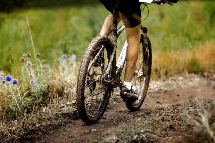 Mountain biker on the trail