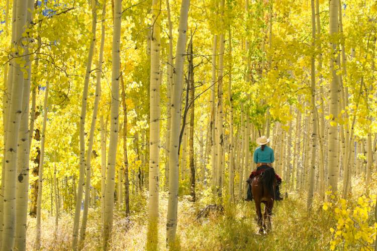 horseback riding in mountains in fall