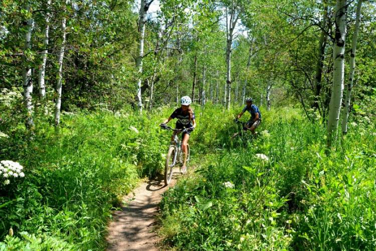 Mountain bikers in Vail, CO