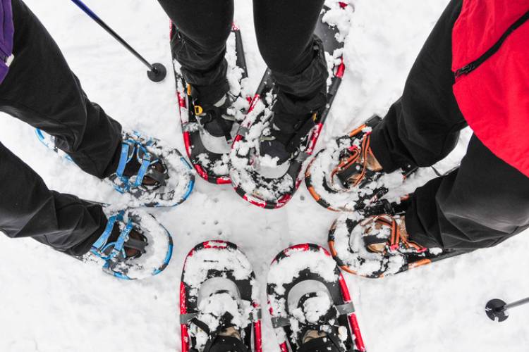 Snowshoers in Vail, CO