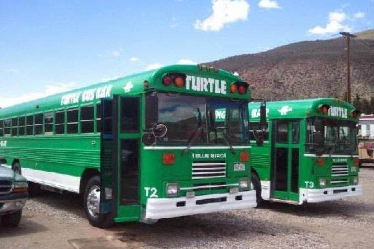 Turtle bus transportation in Colorado