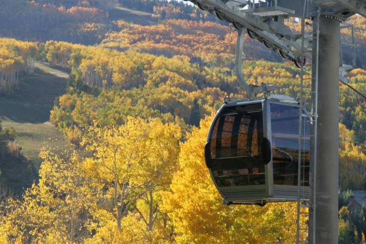 A Gondola with golden Aspen trees