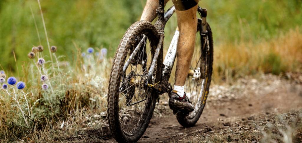 Mountain biker on the trail